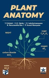 Plant Anatomy