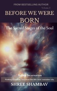BEFORE WE WERE BORN: The Sacred Stages of the Soul Before Incarnation Volume One