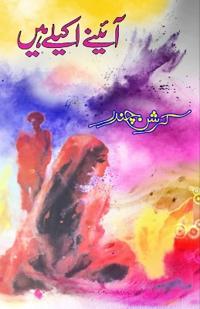 Aiene akele hain (Novel)