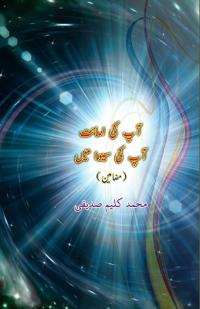Aap ki Amanat Aap ki seva mein (Editionfirst)