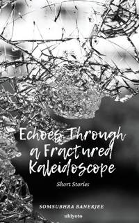 Echoes Through a Fractured Kaleidoscope