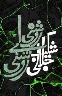 Raushni aye Raushni (Poetry) (Editionfirst)