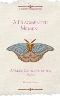 A Fragmented Moment-A Poetic Gathering of the Mind