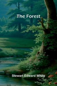 The Faery Queen and Her Knights Stories Retold from Edmund Spenser (Edition1)