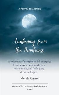 Awakening from the Numbness (Edition1st)