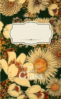 Through the Land of Glass (Edition1st)