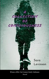 A Collection of Consciousness