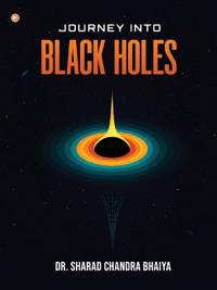 Journey Into Black Holes