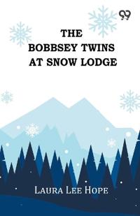 The Bobbsey Twins At Snow Lodge