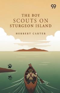 The Boy Scouts On Sturgeon Island