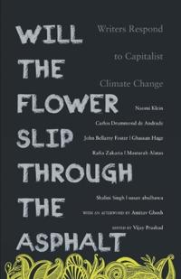 Will the Flower Slip Through the Asphalt?