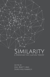 Similarities – A Paradigm for Culture Theory