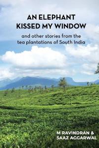 An elephant kissed my window