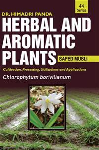 Herbal and Aromatic Plants44. Chlorophytum Borivilianum (Safed Musli)