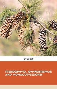 Pteridophyta, Gymnospermae and Monocotyledones