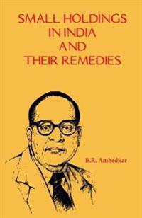 Small Holdings in India and Their Remedies