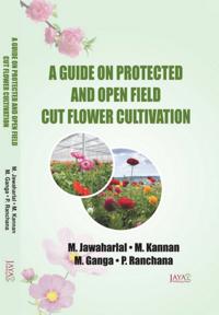 Guide On Protected And Open Field Cut Flower Cultivation