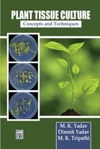 Plant Tissue Culture Concepts And Techniques