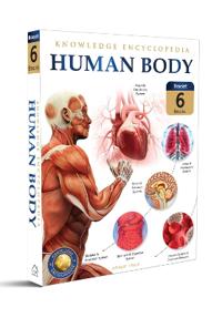 Human Body