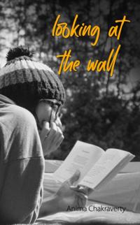 Looking at The Wall