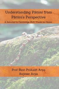 Understanding Panini from Panini's Perspective: A Rebuttal to  Cambridge Ph.D Thesis on Panini