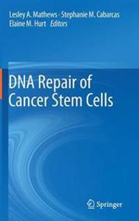 DNA Repair of Cancer Stem Cells