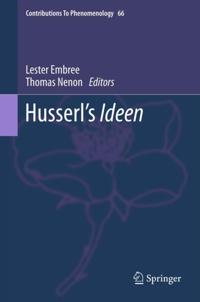 Contributions to Phenomenology