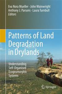 Patterns of Land Degradation in Drylands