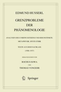 Grenzprobleme der Phänomenologie