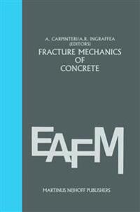 Fracture mechanics of concrete: Material characterization and testing