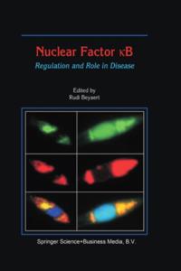 Nuclear Factor ?B