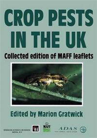 Crop Pests in the UK