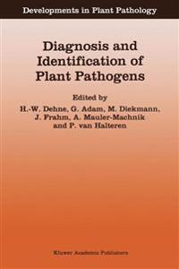 Diagnosis and Identification of Plant Pathogens