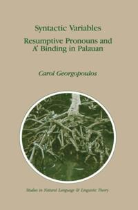 Studies in Natural Language and Linguistic Theory