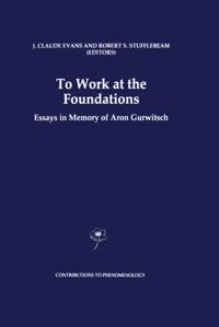 Contributions to Phenomenology