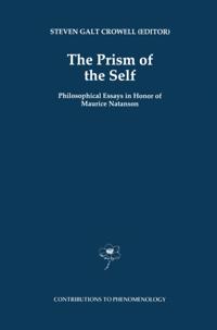 Contributions to Phenomenology