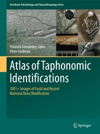 Vertebrate Paleobiology and Paleoanthropology