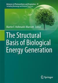 The Structural Basis of Biological Energy Generation