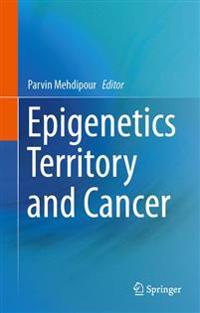 Epigenetics Territory and Cancer