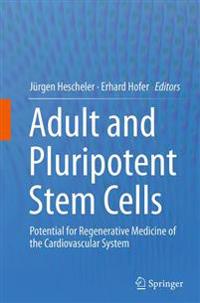 Adult and Pluripotent Stem Cells
