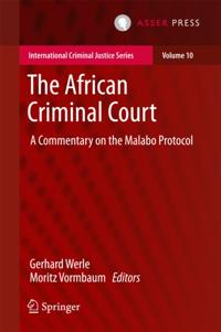International Criminal Justice Series