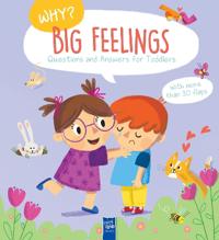 Big Feelings (Why? Questions And Answers For Toddlers)