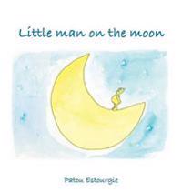 Little Man on the Moon