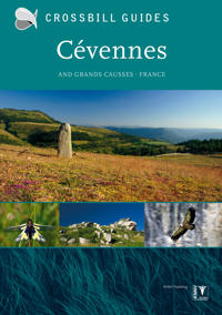 Crossbill Nature Guide Cevennes