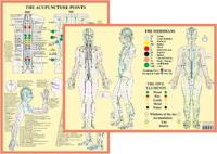 Meridians and 5 Elements