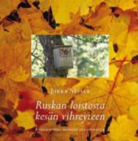 Ruskan loistosta kesän vihreyteen