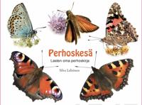 Perhoskesä