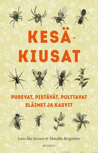 Kesäkiusat