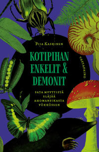 Kotipihan enkelit ja demonit