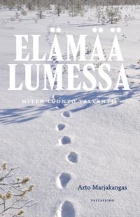 Elämää lumessa